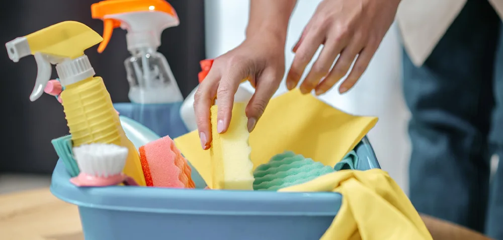 Regular Cleaning